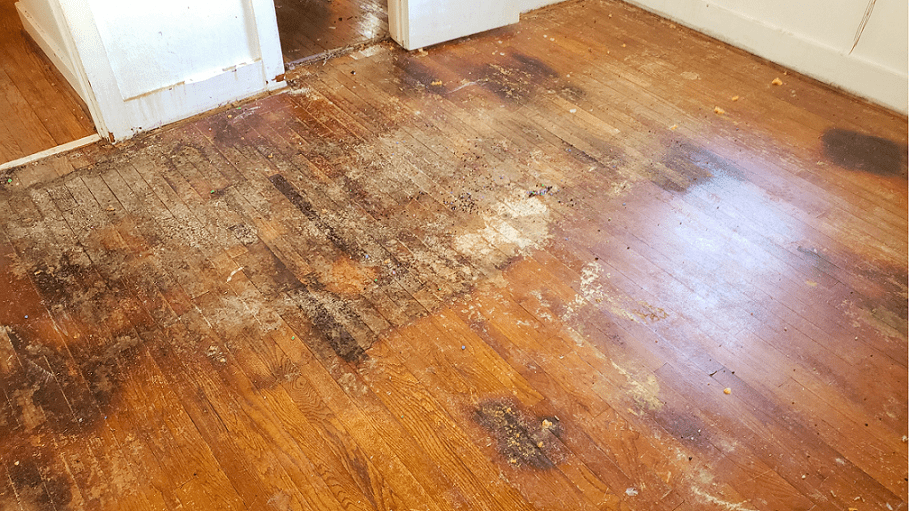 A1 Boston Water Damage Restoration