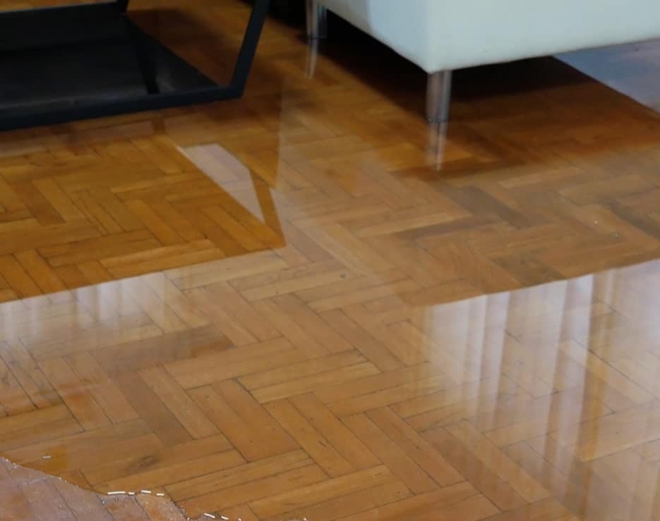 water damage mitigation services