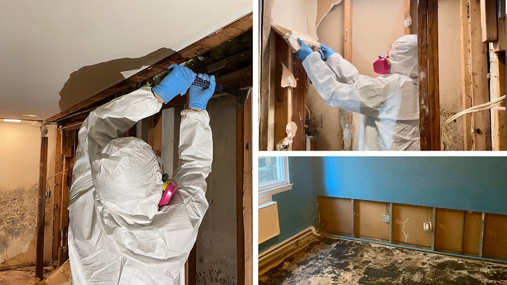 NYS licensed mold remediation technicians and remediated room